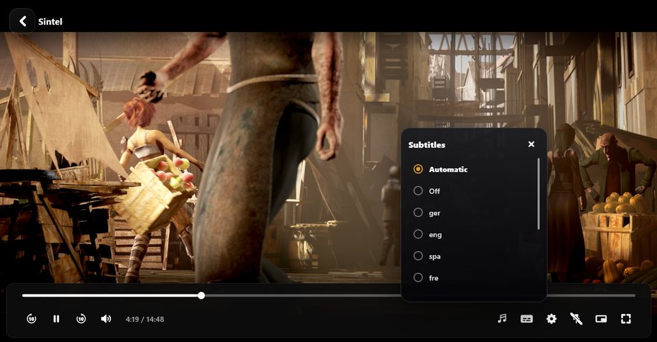 Subtitles and audio in every language the film carries